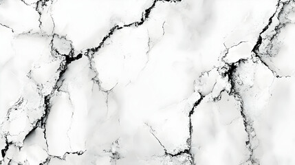 Obraz premium White Marble Texture Background - Abstract Pattern Design