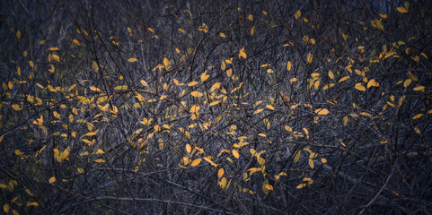 blue fabric texture background