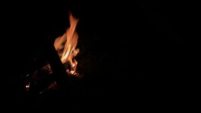 flames in the dark, wood with burning fire