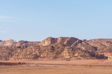 Camels in Wadi Rum landscape, Aqaba, Jordan