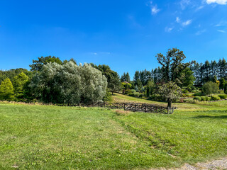 Silesian Botanical Park on the Sosnia Gora hill