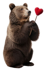 Fototapeta premium PNG Wildlife mammal animal bear.