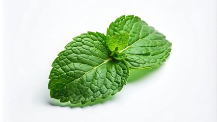 Close-up of two fresh green mint leaves on a white background.