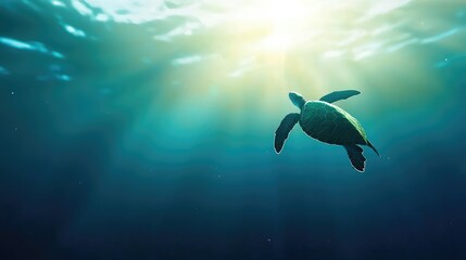 A serene underwater scene featuring a turtle swimming gracefully in illuminated waters, with sunlight streaming through the surface.