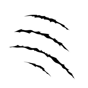 recommend clip art: Claws scratches icon isolated on white background, Claw sign vector Illustration
                    
