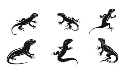House gecko silhouette vector image
