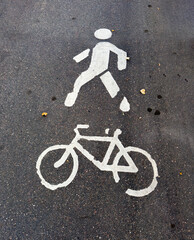 A close-up of a pavement showing white markings for pedestrians and cyclists. The markings clearly designate a shared path for walking and cycling, seen on an asphalt surface with scattered autumn