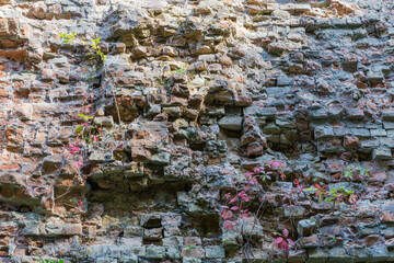 Fragment of the old partly destroyed brick wall,  bottom view