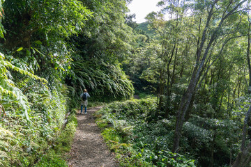 Flores island in the Azores archipelago Portugal