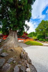 奈良県　春日大社の風景