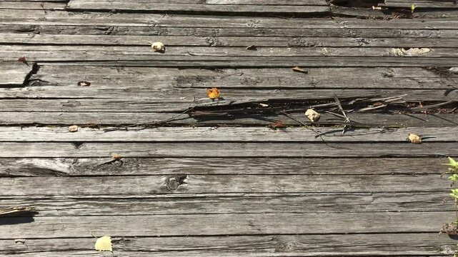 Close-up of Weathered Wooden Deck with Cracked and Uneven Planks, Scattered Autumn Leaves, and Exposed Debris in Bright Sunlight, Symbolizing Age and Decay in Outdoor Surfaces
