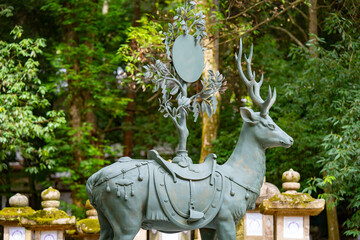 奈良県　春日大社の風景