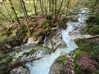 The Šunik water grove or waterfalls on the Lepenca stream (Bovec, Slovenia) - Der Sunik-Wasserhain oder Wasserfälle am Bach Lepenca (Bovec, Slowenien) - Šunikov vodni gaj v Lepeni (Bovec, Slovenija) © Mario
