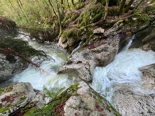 The Šunik water grove or waterfalls on the Lepenca stream (Bovec, Slovenia) - Der Sunik-Wasserhain oder Wasserfälle am Bach Lepenca (Bovec, Slowenien) - Šunikov vodni gaj v Lepeni (Bovec, Slovenija) © Mario