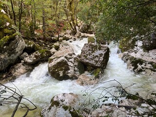The Šunik water grove or waterfalls on the Lepenca stream (Bovec, Slovenia) - Der Sunik-Wasserhain oder Wasserfälle am Bach Lepenca (Bovec, Slowenien) - Šunikov vodni gaj v Lepeni (Bovec, Slovenija) © Mario