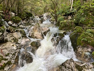 The Šunik water grove or waterfalls on the Lepenca stream (Bovec, Slovenia) - Der Sunik-Wasserhain oder Wasserfälle am Bach Lepenca (Bovec, Slowenien) - Šunikov vodni gaj v Lepeni (Bovec, Slovenija) © Mario