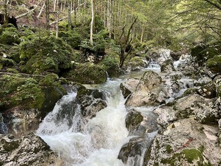 The Šunik water grove or waterfalls on the Lepenca stream (Bovec, Slovenia) - Der Sunik-Wasserhain oder Wasserfälle am Bach Lepenca (Bovec, Slowenien) - Šunikov vodni gaj v Lepeni (Bovec, Slovenija) © Mario