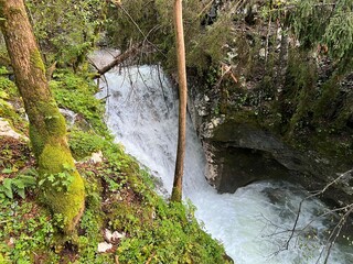 The Šunik water grove or waterfalls on the Lepenca stream (Bovec, Slovenia) - Der Sunik-Wasserhain oder Wasserfälle am Bach Lepenca (Bovec, Slowenien) - Šunikov vodni gaj v Lepeni (Bovec, Slovenija) © Mario