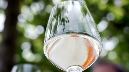 Close-up of a wine glass reflecting green foliage, highlighting a serene and relaxing outdoor ambiance, perfect for a casual and enjoyable moment in nature with family or friends