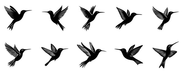 hummingbird vector silhouette design on white background

