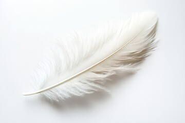 Obraz premium On a white backdrop, a white feather isolated. Generative Ai