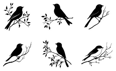 Silhouette of a robin bird perched on a branch, captured in a black vector art illustration.

