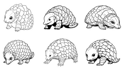 Armadillo
