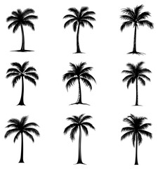 Palm tree silhouette. Ideal for adding a tropical flavor to your illustrations.
