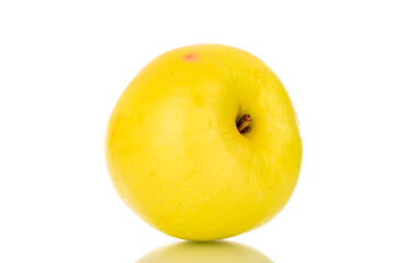 One bright yellow ripe apple, macro, isolated on white background.