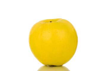 One bright yellow ripe apple, macro, isolated on white background.