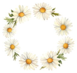 PNG Daisy petals cercle border flower wreath plant.