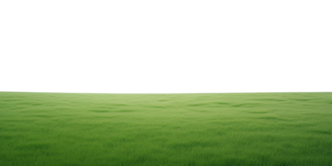 PNG A green grass field outdoors horizon nature.