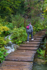 Person walking on a wooden bridge in a lush green forest