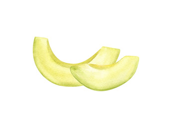 Fresh avocado slices watercolor hand drawn food illustration. Chopped vegetable pile painted in realistic style. Food organic ingredient for vegan menu, recipe design, healthy salad decor.