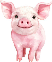 Pig Watercolor clipart