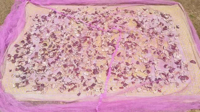 Pile of Small cracked cut pieces of copra&nbsp;(khobara) It is the dried meat or kernel of the coconut which is the fruit of the coconut palm tree (Coco nucifera). Coconut oil is extracted from&nbsp;dry copra.