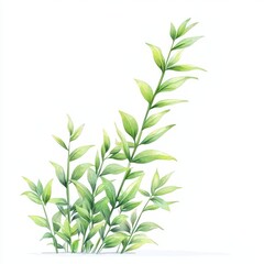 Fototapeta premium A delicate watercolor illustration of green leaves sprouting upward, symbolizing growth and nature’s beauty.