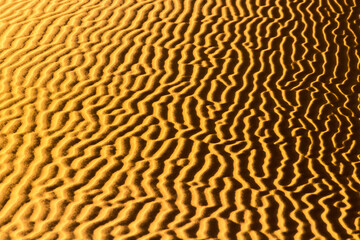 Close-up of golden sand ripples of Erg Chebbi desert