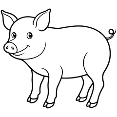 pig illustration