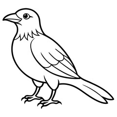 sketch of a bird