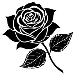 black and white rose
