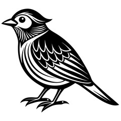 sketch of a bird
