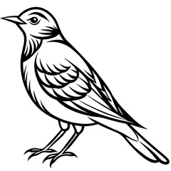 sketch of a bird