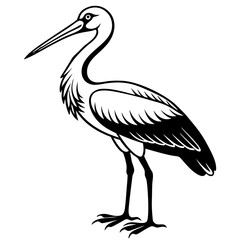 white stork on a white