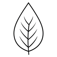 Botanical Leaf Art Symbol.