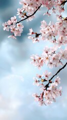 Blossoming cherry trees dance gently in the soft spring breeze beneath a pastel sky