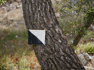 Second-order signs, in a hunting preserve, held between iron and trunk, with their tablet split in half between black and white