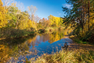 Fototapeta premium Serene autumn landscape with colorful foliage reflecting in a calm forest pond. Vibrant yellow trees contrast with evergreens, while fallen leaves float on the water's surface