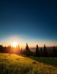 Silhouette at Sunset Over Forest and Green Field