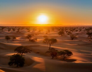 Aerial Shot of Sunset with Trees, Desert-like Terrain Below